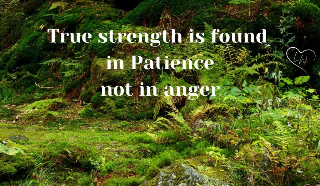 Islamic Quotes for Patience