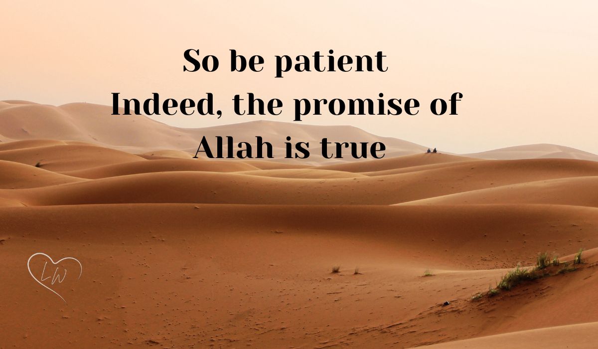 Islamic Quotes For Patience And Silence Quran And Hadith
