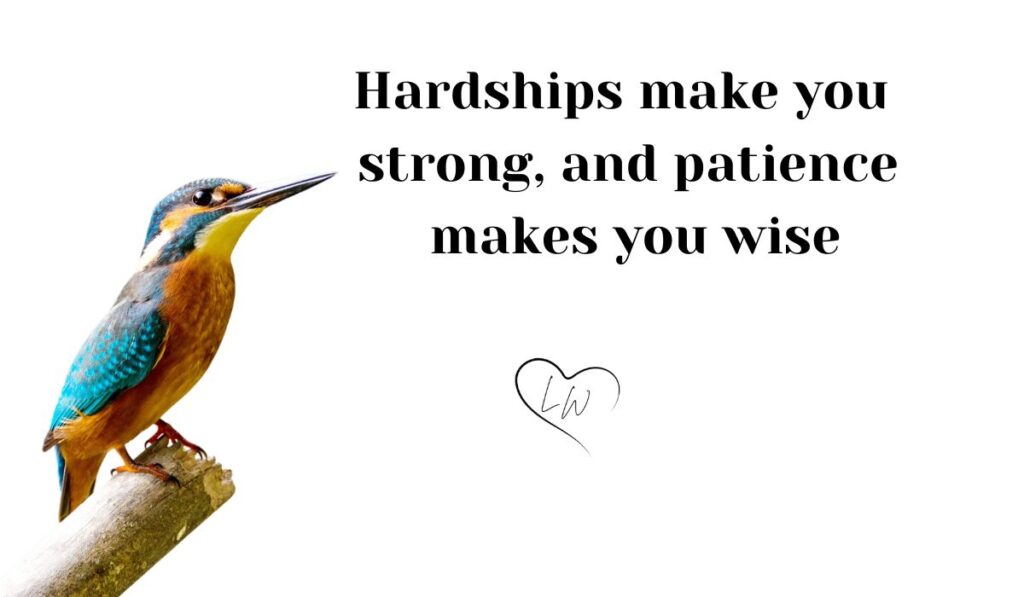 Islamic Quotes for Patience