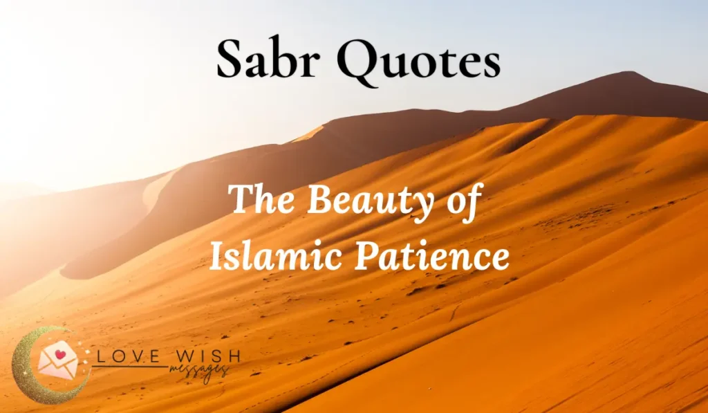 100+ Sabr Quotes